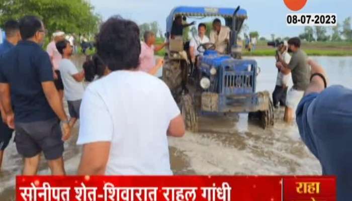 Congress Rahul Gandhi Vivited Haryana Farm And Spoke To Farmers