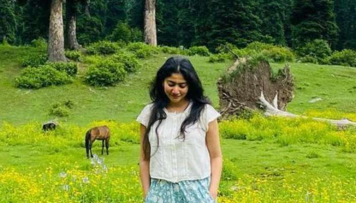 Sai Pallavi, Sai Pallavi instagram, entertainment, entertainment news, tollywood, tollywood news, 