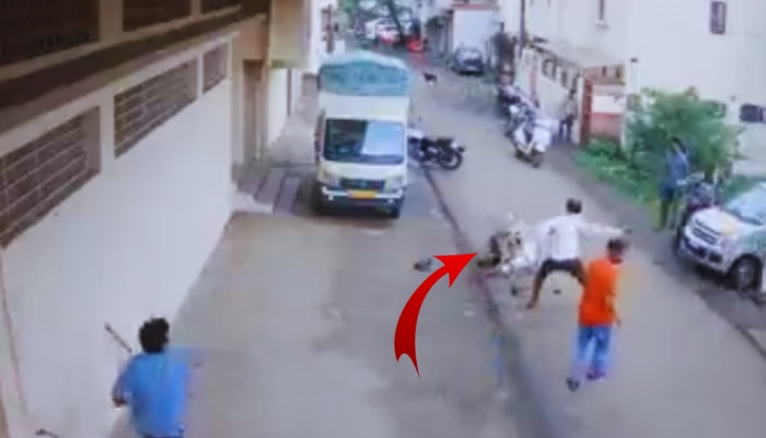 Kolhapur News: भर रस्त्यात गाढवाचा वृद्धावर हल्ला, शेवटी लोकांनी असा शिकवला धडा; पाहा CCTV Video