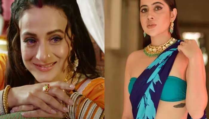 &quot;25 वर्षे काम मिळालं नाही म्हणून...&quot;, Ameesha Patel वर संतापली Urfi Javed 