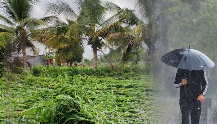 Maharastra Monsoon Updates: शेतकऱ्यांचं टेन्शन वाढलं! पुढील 4 दिवसात राज्याच्या &#039;या&#039; भागात मुसळधार पावसाची शक्यता
