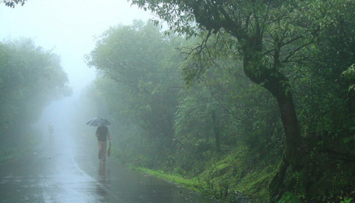 Maharashtra Rain : पुढील 5 दिवस मुसळधार; पावसाळी सहलींना जाणाऱ्यांची मज्जाच मजा! 