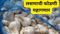 गृहिणींची फोडणी महागणार; टोमॅटो, भाज्यांनंतर लसणाचे दर वाढले