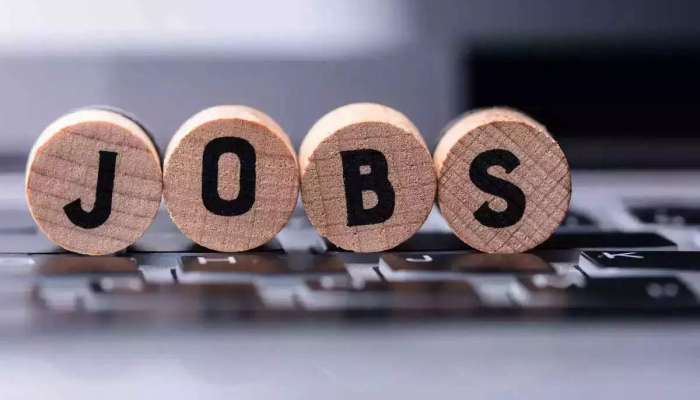 Government Job: महाराष्ट्र नगरपरिषद संचालनालयाअंतर्गत मेगाभरती, नोकरीसाठी &#039;येथे&#039; पाठवा अर्ज 