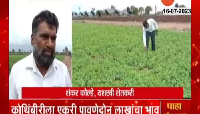 Farmer Become Rich After Selling Corriander 