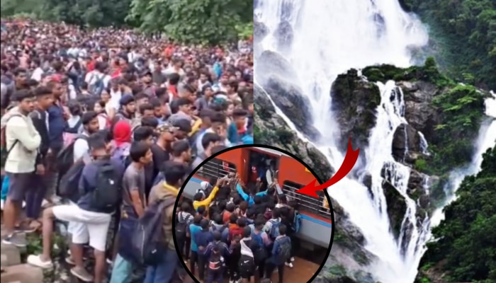 Dudhsagar Waterfalls: विकेंडला दूधसागर धबधब्याला जाताय? आधी &#039;हा&#039; Video पाहाच!