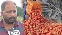 महिन्याभरात टोमॅटो विकून 2.8 कोटींची कमाई! 36 वर्षीय शेतकऱ्याचं 3.5 कोटींचं टर्गेट