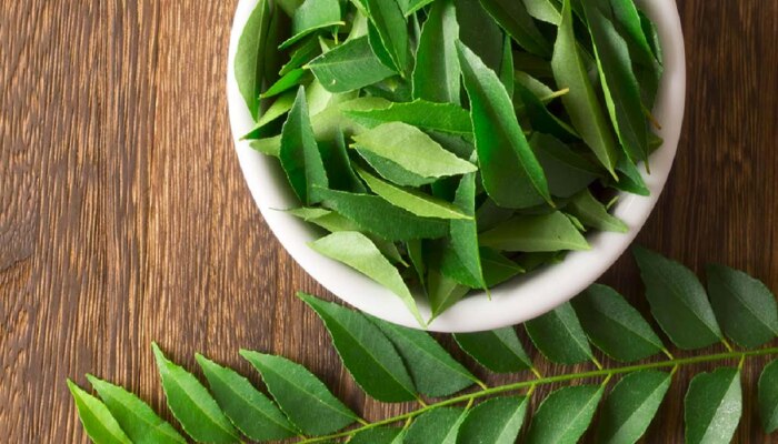 Curry Leaves : सुकला म्हणून कढीपत्ता फेकून देता? असा करा सुकलेल्या कढीपत्ताचा वापर