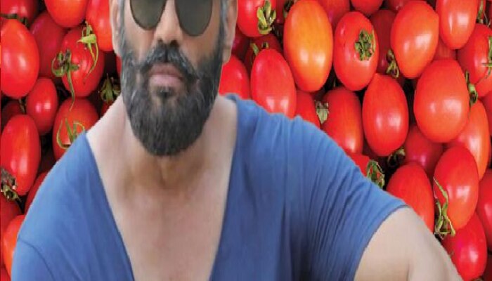 sunil shetty, suniel shetty, tomato price, tomato price hike, Suniel Shetty farming, Suniel Shetty instagram, Suniel Shetty on tomato price, tamatar price, Tomato high price, tomato per kg