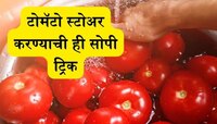 महाग टोमॅटो विकत घेतलेत? पण पावसाळ्यात खराब होण्याची भिती, वापरा 1 खास ट्रिक