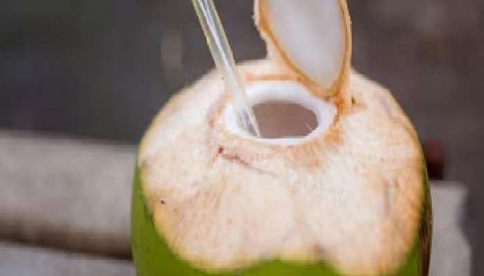 having coconut water in pregnancy is good or bad health latest news