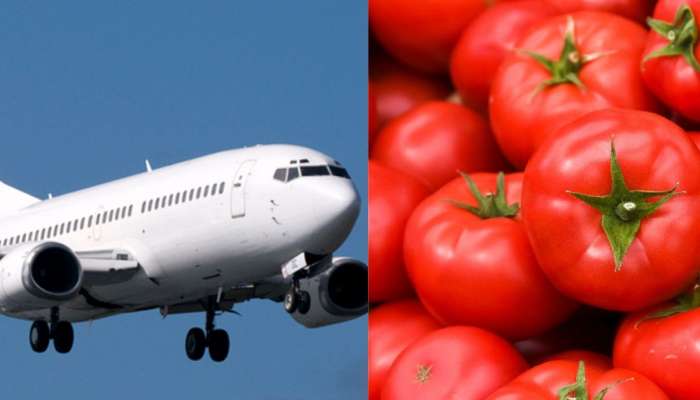 Tomato महागल्याने आईचा दुबईला फोन, लेकीनं सुटकेसमधून पाठवले 10 किलो टोमॅटो