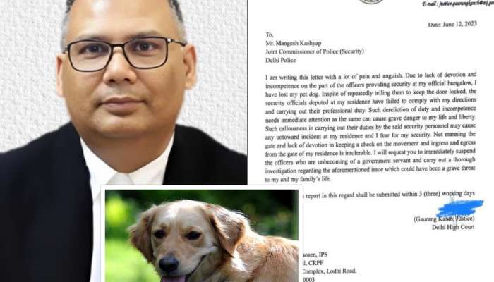पाळीव कुत्र्याचा मृत्यू झाल्याने हायकोर्टाच्या न्यायाधीशांचा संताप, थेट पोलीस आयुक्तांना पत्र, म्हणाले 