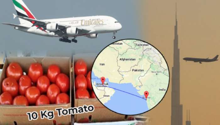 ...अन् लेकीनं थेट दुबईवरुन भारतात राहणाऱ्या आईसाठी पाठवली 10 किलो टोमॅटो