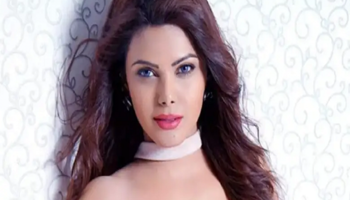 किडनी निकामी, कुटुंबाकडून मदत नाही, ड्रग्ज घे...Sherlyn Chopra ने सांगितली वेदनादायी कहाणी
