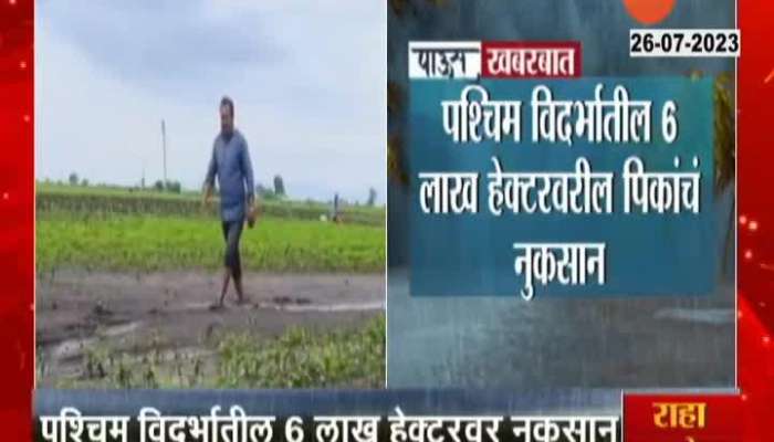 Maharashtra Rain News loss of Crops due to heavy rain 