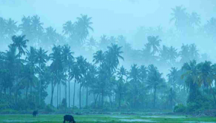 Maharashtra Mumbai Rain Live Updates:  मुंबई आणि परिसरात तुफान पाऊस, ठिकठिकाणी साचलं पाणी