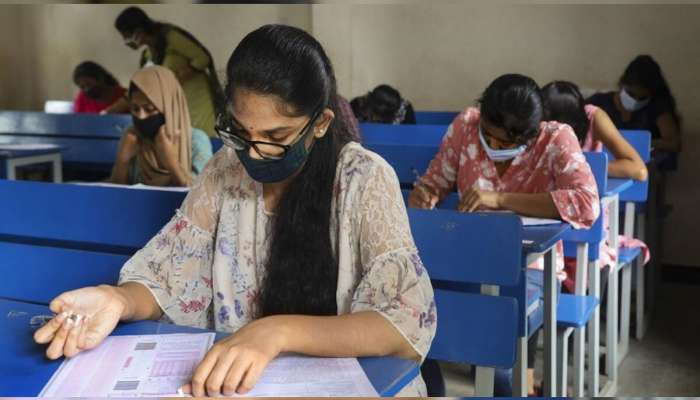 तलाठी भरतीनं राज्य सरकारच्या तिजोरीत पैशांचा पाऊस, अर्ज शुल्कातून मिळाली 'इतक्या' कोटींची रक्कम