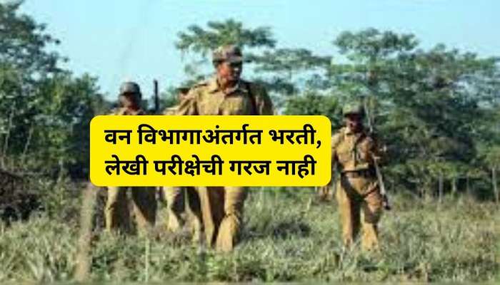 महाराष्ट्र वन विभागाअंतर्गत विविध पदांची भरती, कोणतीही परीक्षा नाही; पगारही मिळेल चांगला
