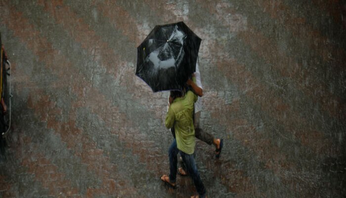 Maharashtra Rain : विदर्भ, पश्चिम महाराष्ट्राला &#039;यलो अलर्ट&#039;; आताच पाहून घ्या हवामानाचा अंदाज 