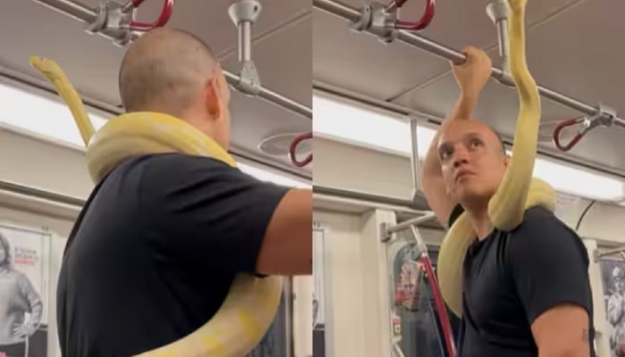 Viral Video : भयानक साप गळ्यात घालून तो मेट्रोमध्ये चढला अन् मग, हृदयाचे ठोके चुकविणारा व्हिडीओ 