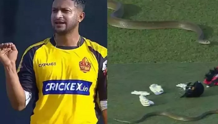 Video : Live क्रिकेट सामन्यादरम्यान अचानक मैदानात आला भलामोठा साप, खेळांडूंची हवा टाइट