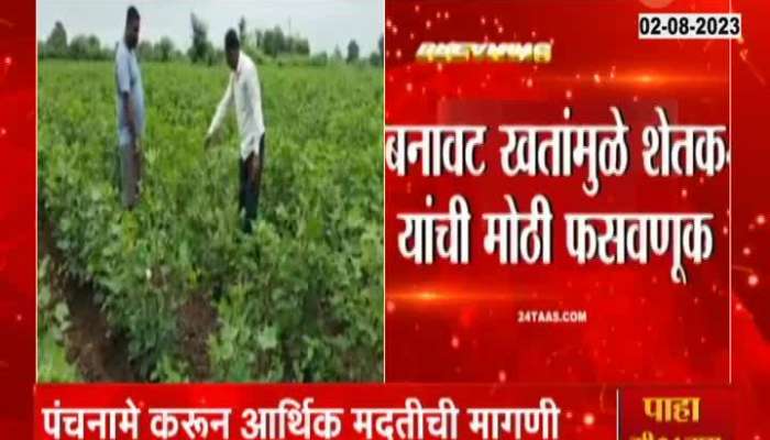 Fake Fertilisers Farmers Suffer from Crop Losses are huge