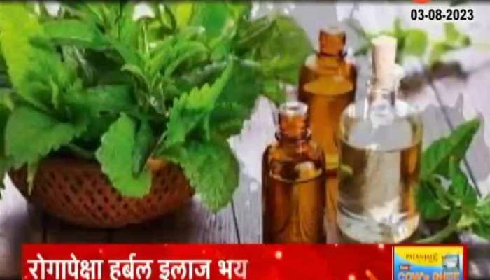 Special Report on herbal Product