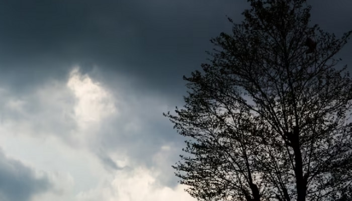 rain cloud, rain clouds, rain in mumbai, rain news, news, why rain clouds are black, why clouds are black in color, पावसाचे ढग काळे का असतात, पावसाळी ढग, पाऊस, मराठी बातम्या, बातम्या 