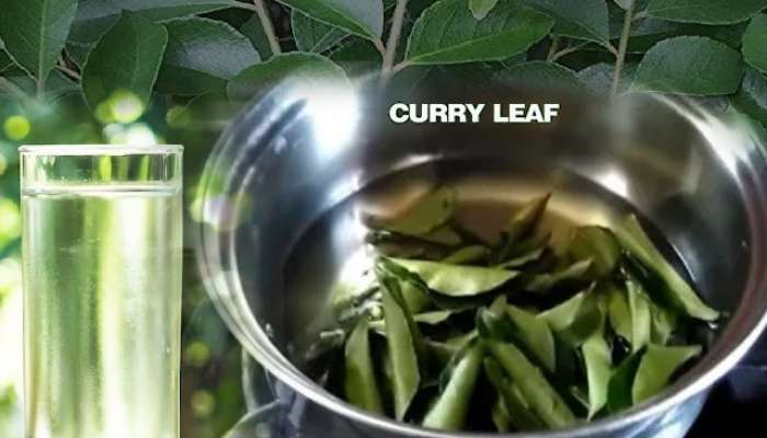Benefits Of Curry Leaves Boiled Water