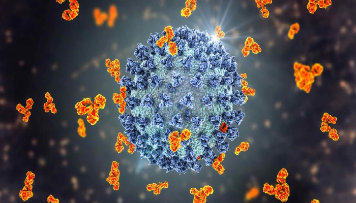 New variant of coronavirus : कोरोनाची पुन्हा धोकादायक एन्ट्री; वेगाने पसरतोय नवा व्हेरिएंट