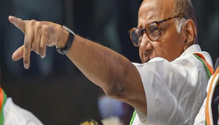 'ना थका हूँ ना हारा हूँ'! शरद पवार 17 ऑगस्टपासून राज्यव्यापी दौऱ्यावर, 'या' मतदारसंघातून सुरुवात