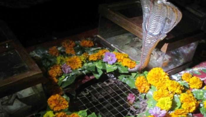 भारतातील अनोखे शिवमंदिर, इथे होते महादेवाच्या अंगठ्याची पूजा, मंदिराचे रहस्य जाणून घ्या