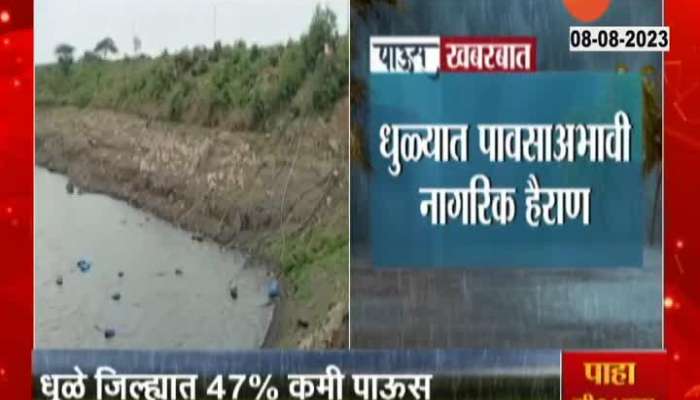 Dhule 47 percent low rainfall in this year