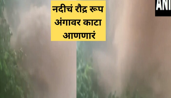 Video : अन् नदीचा प्रवाह अचानक वाढला; हिमाचलमधील ढगफुटीनंतर निसर्गानं घाबरवलं 