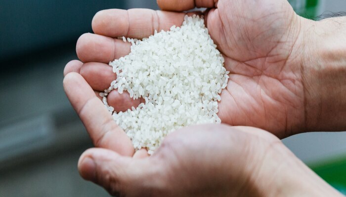 ताटातून भात गायब होणार? तांदळाच्या दरात विक्रमी वाढ; 15 वर्षात पहिल्यांदाच &#039;इतका&#039; महाग 