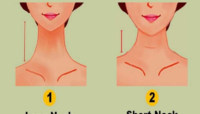 Personality Test: मानेच्या लांबीवरून कळेल तुमचं व्यक्तीमत्त्व 