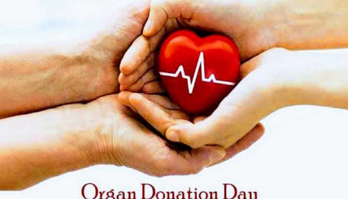 World Organ Donation Day: केवळ किडनीच नाही तर हे अवयवही जिवंतपणीच करता येतात दान; जाणून घ्या प्रक्रिया, तज्ज्ञ काय म्हणतात...