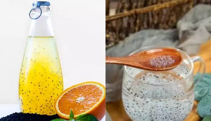 Chia Vs Sabja Seeds : चिया आणि सब्जा सीड्स एकच? Weight Loss करण्यासाठी कुठलं चांगल आहे, जाणून घ्या... 