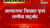 अहमदनगर जिल्ह्याला पुन्हा लम्पीचा विळखा; 53 जनावरांचा मृत्यू