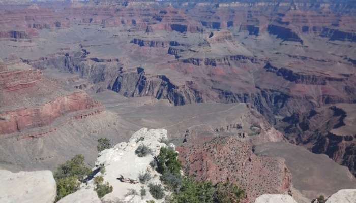 दैव बलवत्तर! 13 वर्षांचा मुलगा 100 फूटांवरुन खाली कोसळला, एक चमत्कार अन्... 