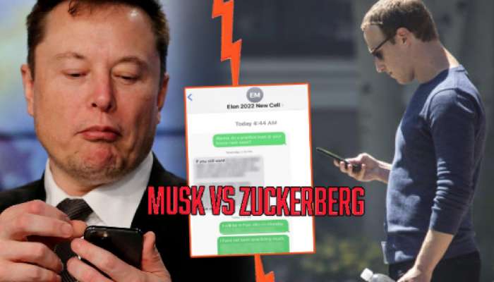 Elon Musk Vs Zuckerberg वाद पेटला! समोर आले 'ते' मेसेज; एलॉन मस्क म्हणाले, 'तू पळकुटा'