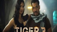 सनी देओलनंतर बॉर्डर क्रॉस करत सलमान खान जाणार पाकिस्तानात? 'टायगर 3' चा प्लॉट लीक? 