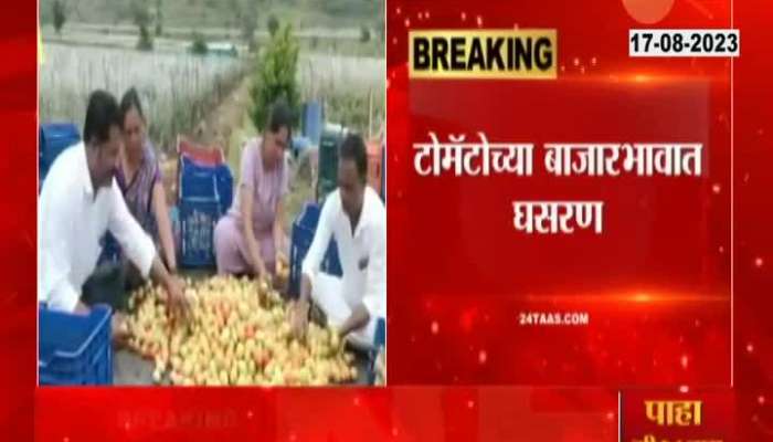 Pimpalgaon Agriculture produce market committee tomato price rate will fall