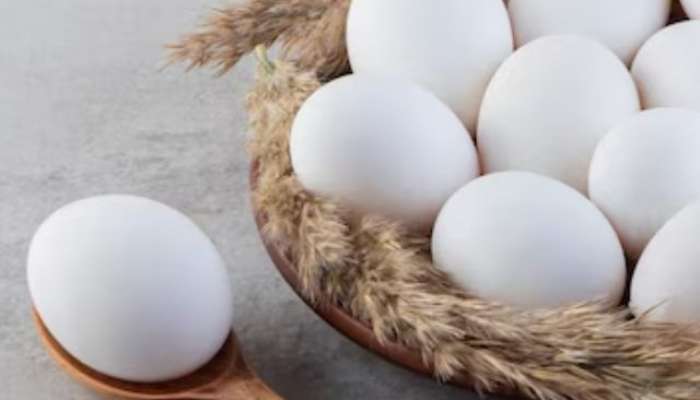 egg bad or good Identify in just 5 seconds Helth Tips In Marathi 