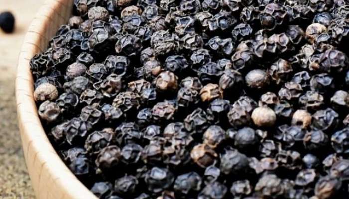 black pepper benefits in monsoon in marathi 