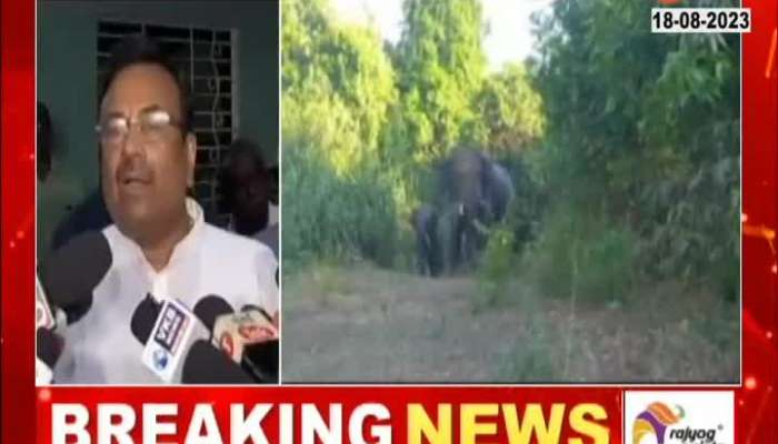Elephant Park in Maharashtra said Sudir Mungantiwar