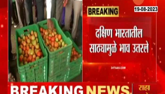 Mumbai Drop In Tomato Price Heading To More Price Drops