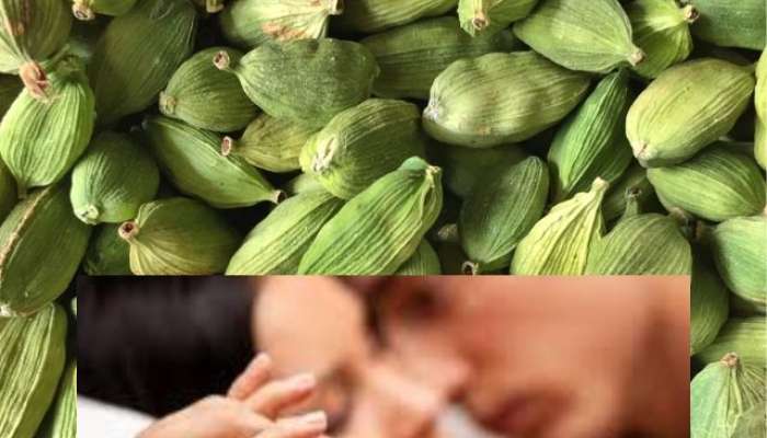 men eat cardamom before going to bed at night it will benefit sexual health