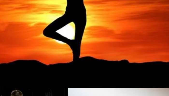 Top 7 Yoga Poses in Morning That Burns Most Calories
